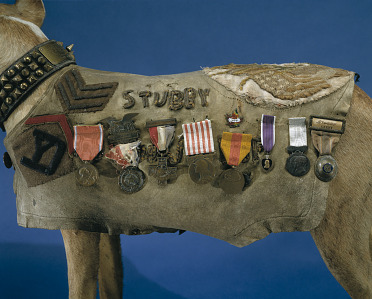 Sergeant Stubby museum photo