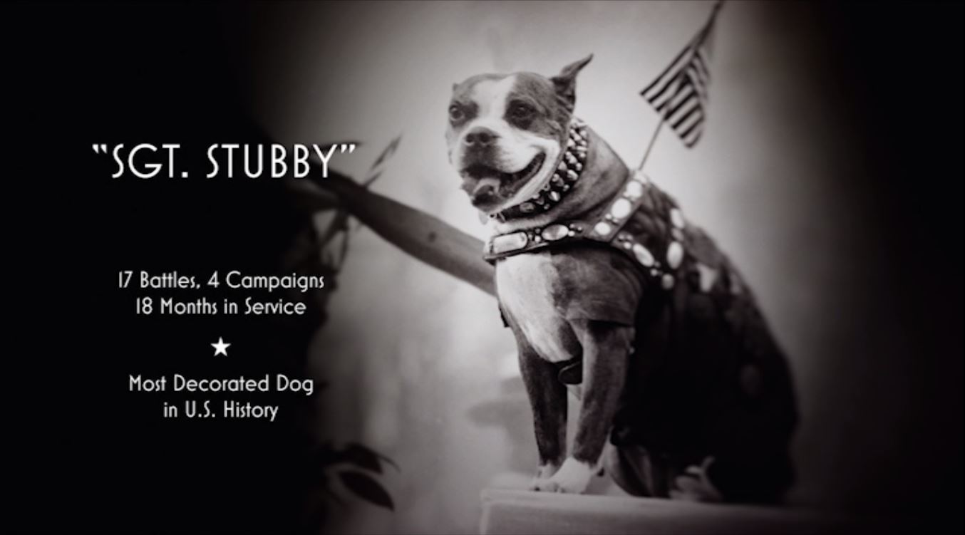 Stubby in World War I